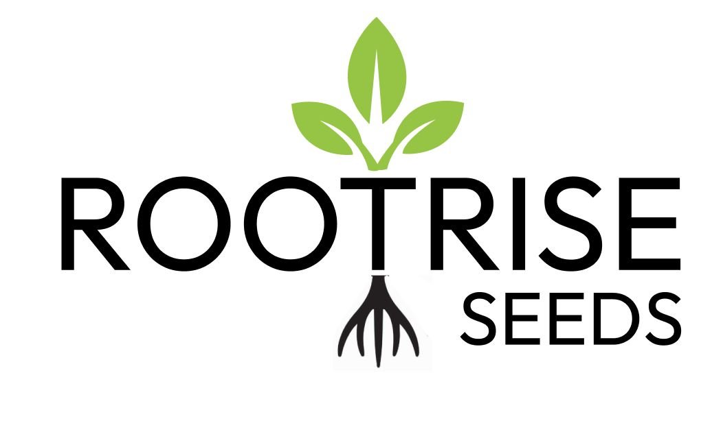 Root Rise Seeds